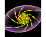 AttractorEye1_FunkyColor_ToAndFro_Animation_RGES.gif