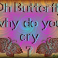 ButterflyCry-Buttonized-RGES