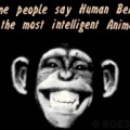 Chimp-IQ-RGES